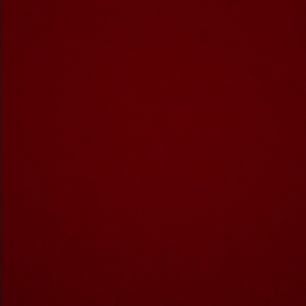 Meet your Posher, Riley - Picture 1 of 1